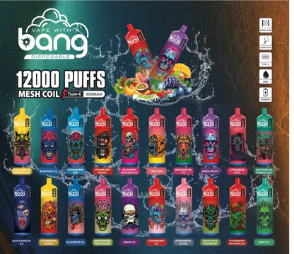 Bang 12000 Puffs Wiederaufladbares Einweg Kit 10 Stück/Packung