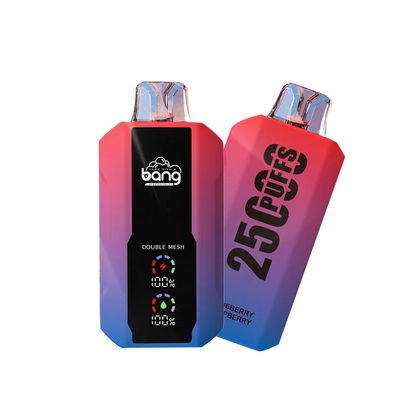 Bang 25000 Puffs Wiederaufladbares Einweg Kit (LED Display)