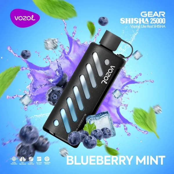 Vozol GEAR SHISHA 25000 Puffs Einweg Kit - Kaufen Sie 2 Stück und erhalten Sie 1 Stück zusätzlich als Geschenk (Produkte und Geschmacksrichtungen sind zufällig)