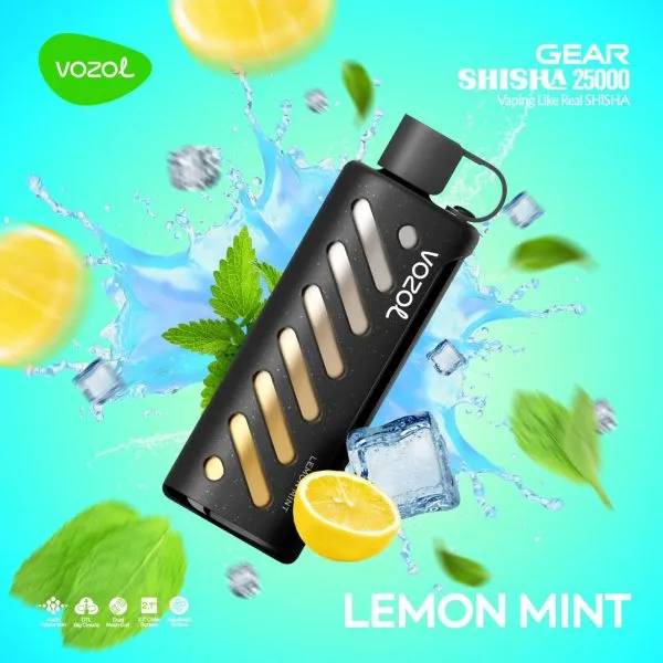 Vozol GEAR SHISHA 25000 Puffs Einweg Kit - Kaufen Sie 2 Stück und erhalten Sie 1 Stück zusätzlich als Geschenk (Produkte und Geschmacksrichtungen sind zufällig)