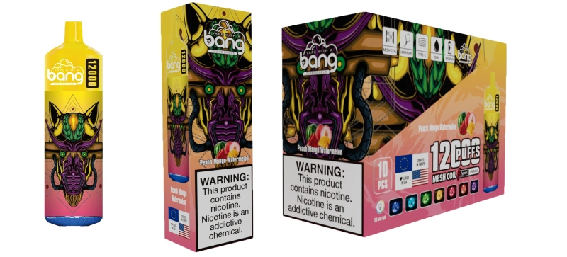 Bang 12000 Puffs Wiederaufladbares Einweg Kit 10 Stück/Packung